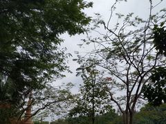 -曼听御花园