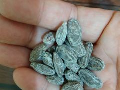 -品忆香炒货工坊(西稍门店)