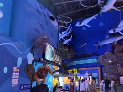 -烟台海昌鲸鲨海洋公园