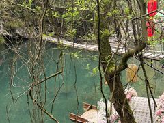 -石台牯牛降景区