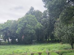 -野蔓果·山野菜(西湖景区·龙井茶田店)