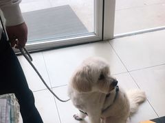 -宠福鑫康馨动物医院·骨科·眼科