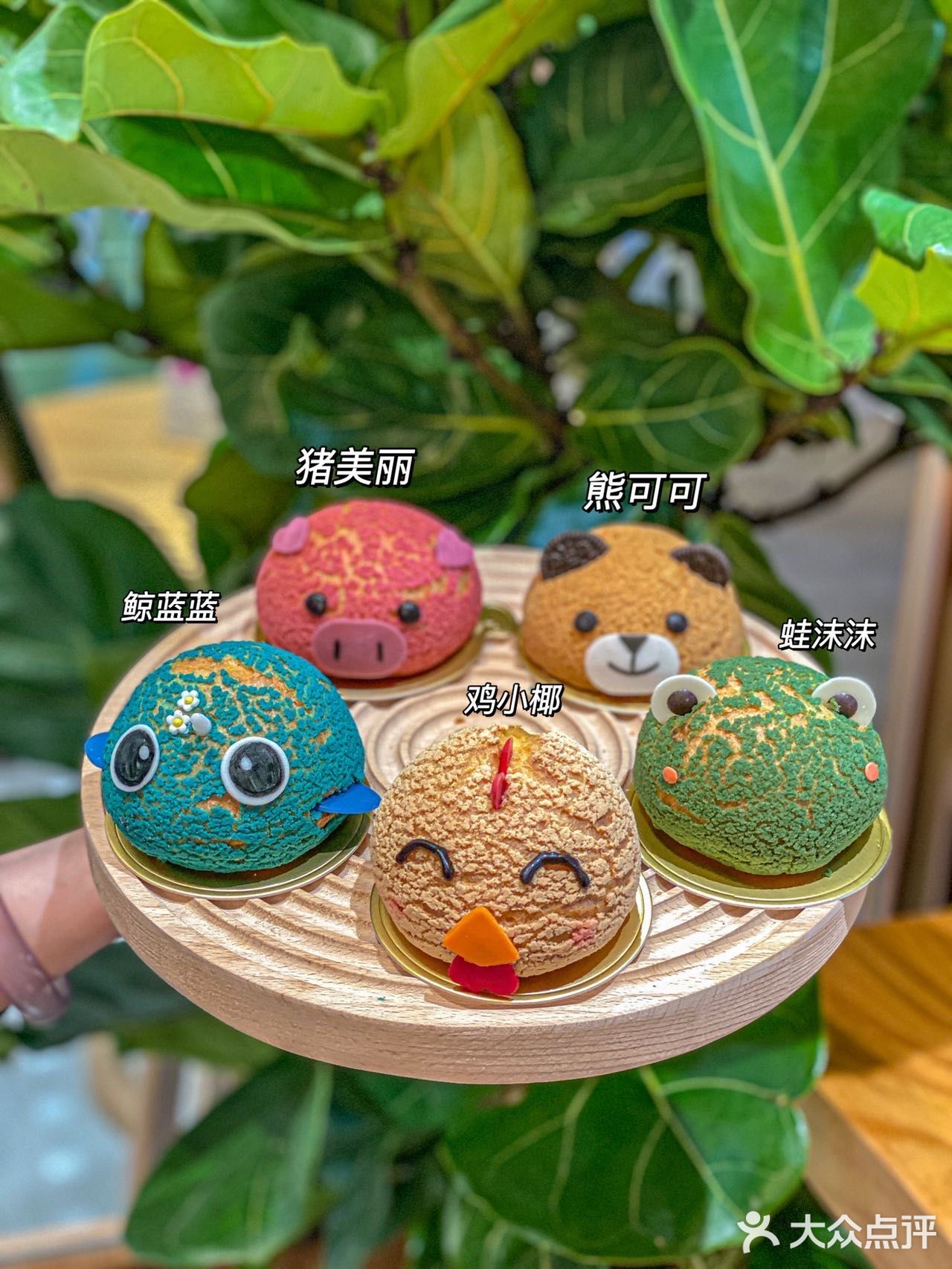 太萌了吧‼️动物造型泡芙真的很难不爱🔥