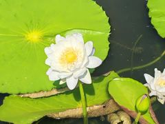 -云溪植物园