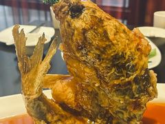 -老牌坊鲁菜名店(聊城美食岛店)