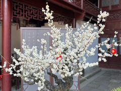 -豫园
