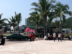 -玫瑰海岸文化旅游度假区