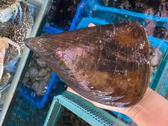 -阿弟特色海鲜餐厅·大排档(平潭店)