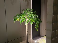 -深圳滨河时代ICON LAB艾垦酒店