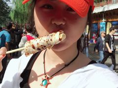 -杨记乳扇·雕梅