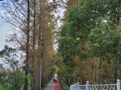 -上海长兴岛郊野公园