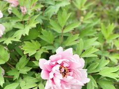 -济南国际园博园