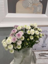 -YESIDO椰岛美容
