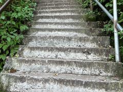 -帽儿山风景区