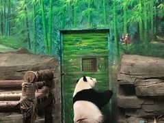 -灵玲国际马戏城