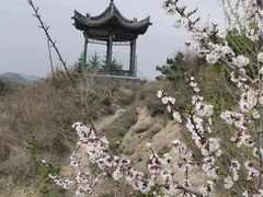 -雁门关景区