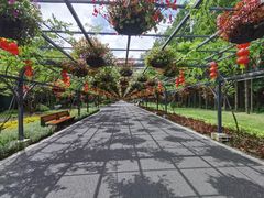 -东平国家森林公园