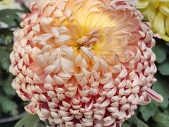 -共青国家森林公园-售票处