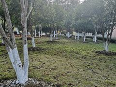 -江西科技学院