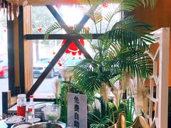 -土著渔匠·养生蝴蝶鱼(香樟路店)