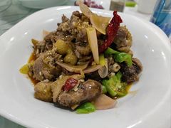 -陇菜和盛祥(金轮宾馆店)