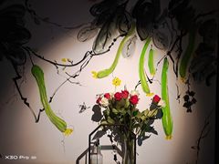 -蔡府家宴(699店)