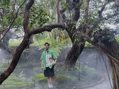 -Chom Cafe and Restaurant