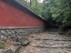 -阳台山自然风景区