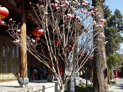 -大理文庙(大理古城)