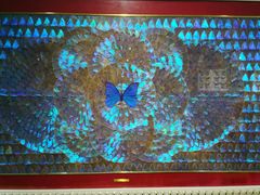 -上海昆虫博物馆