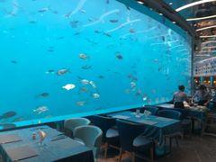 -瑞德姆美人鱼海底演艺主题餐厅(亚龙湾店)