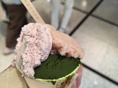 -鹤茶野所(上海首店)
