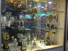 -丁俊晖台球俱乐部(海上海·弘基休闲广场店)