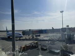 -河南特产汇(郑州新郑国际机场店)