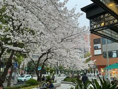 -玛格萝妮比萨屋(四平店)