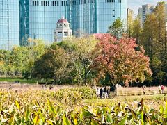 -艾溪湖湿地公园