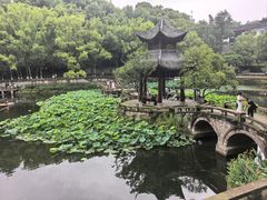 -忠山公园