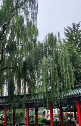 点击看大图 -宝馨月月子中心(友谊医院店)