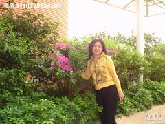 -广州市纺织服装职业学校