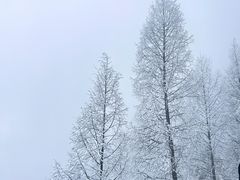 -太阳湾风景区
