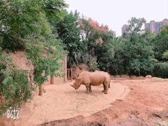 -南昌动物园