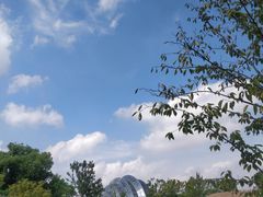 -上海植物园-4号门售票处