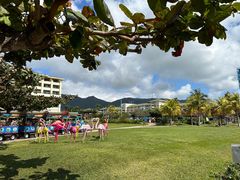 -三亚亚龙湾天域度假酒店