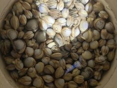 -东疆理想海岸沙滩景区