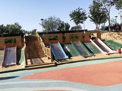 -大兴滨河森林公园