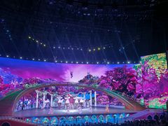 -《驼铃传奇》秀