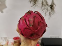 -大湾区中央湿地公园-十九涌