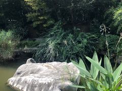 -聚缘堂·海鲜私房菜(松岭路店)