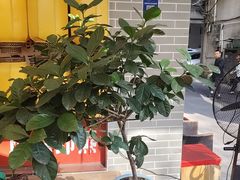 -山水茶艺馆·点心粤菜·30年老字号