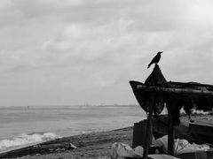 -尼甘布海鲜市场